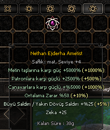6/6 Nethan Ametist Simya