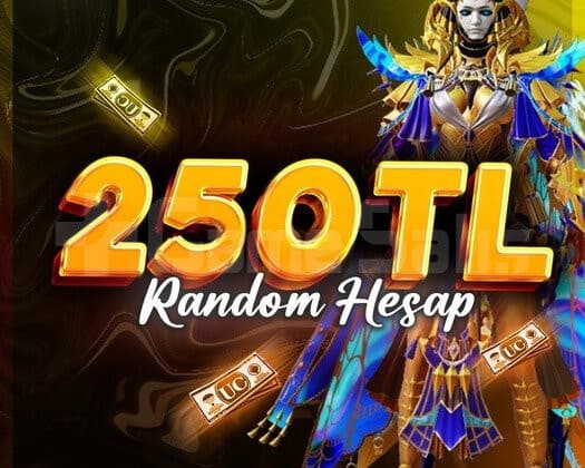 250 TL MÜKEMMEL GARANTİLİ PUBG RANDOM HESAP
