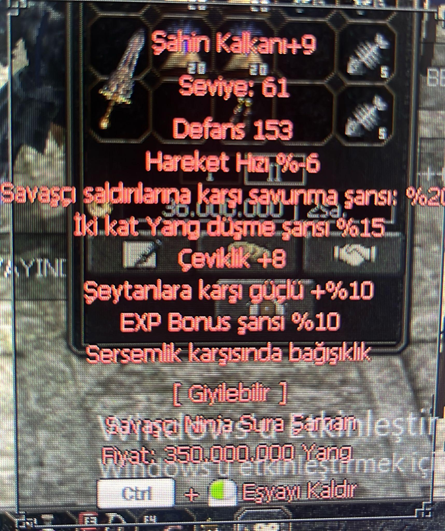+9 şahin