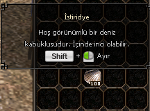 100 ADET İSTRDYE ANINDA TESLİM HAYIRLI OLSUN UYGUN