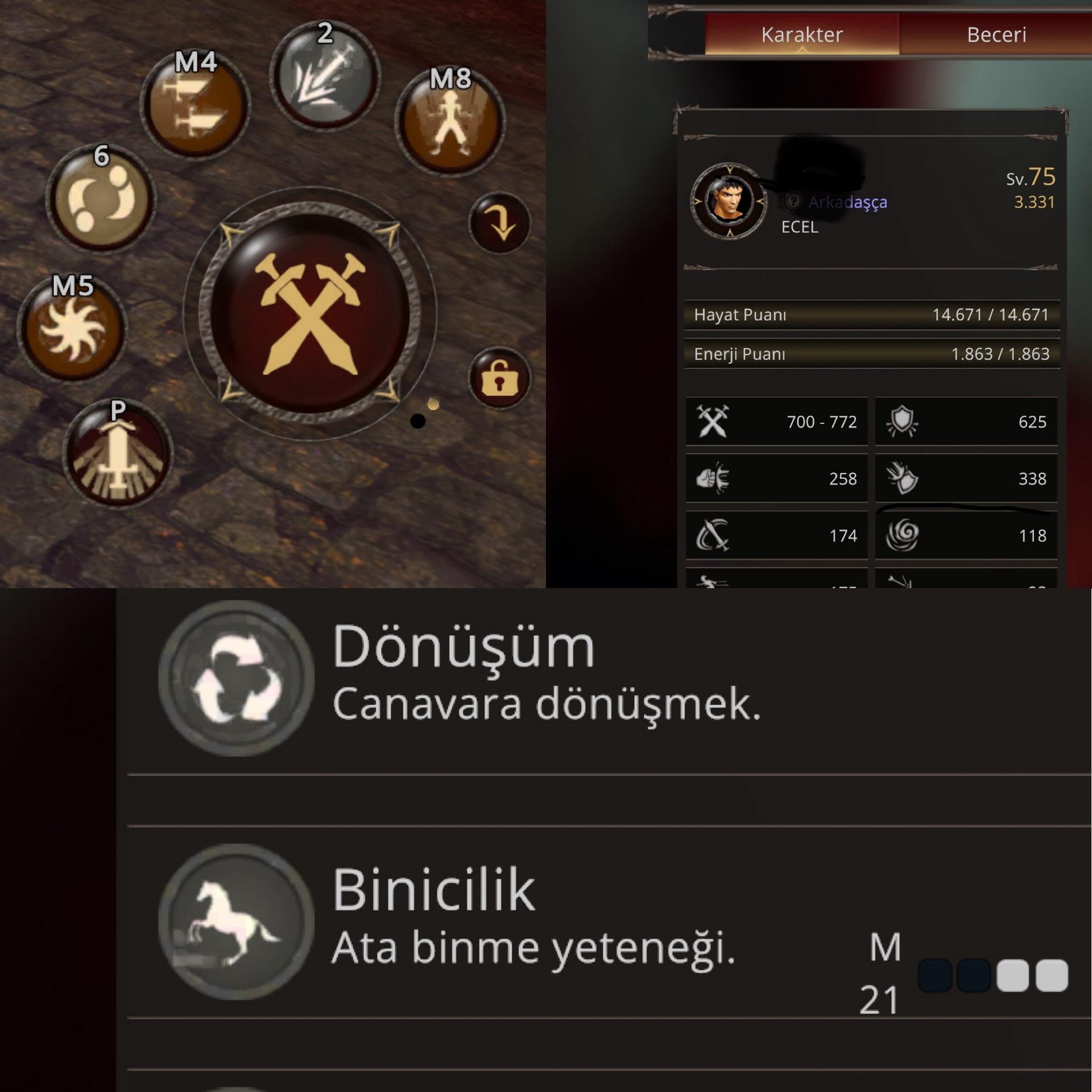 75 Level Bedensel - Hava P - At Asker - Temiz Mail - Anında Teslim