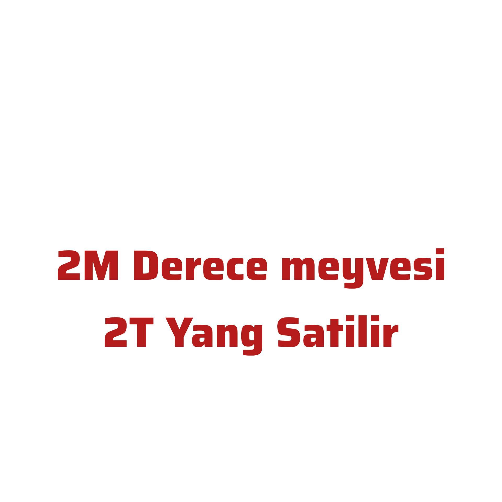 2m derece 2T Yang Satilir onlineyim