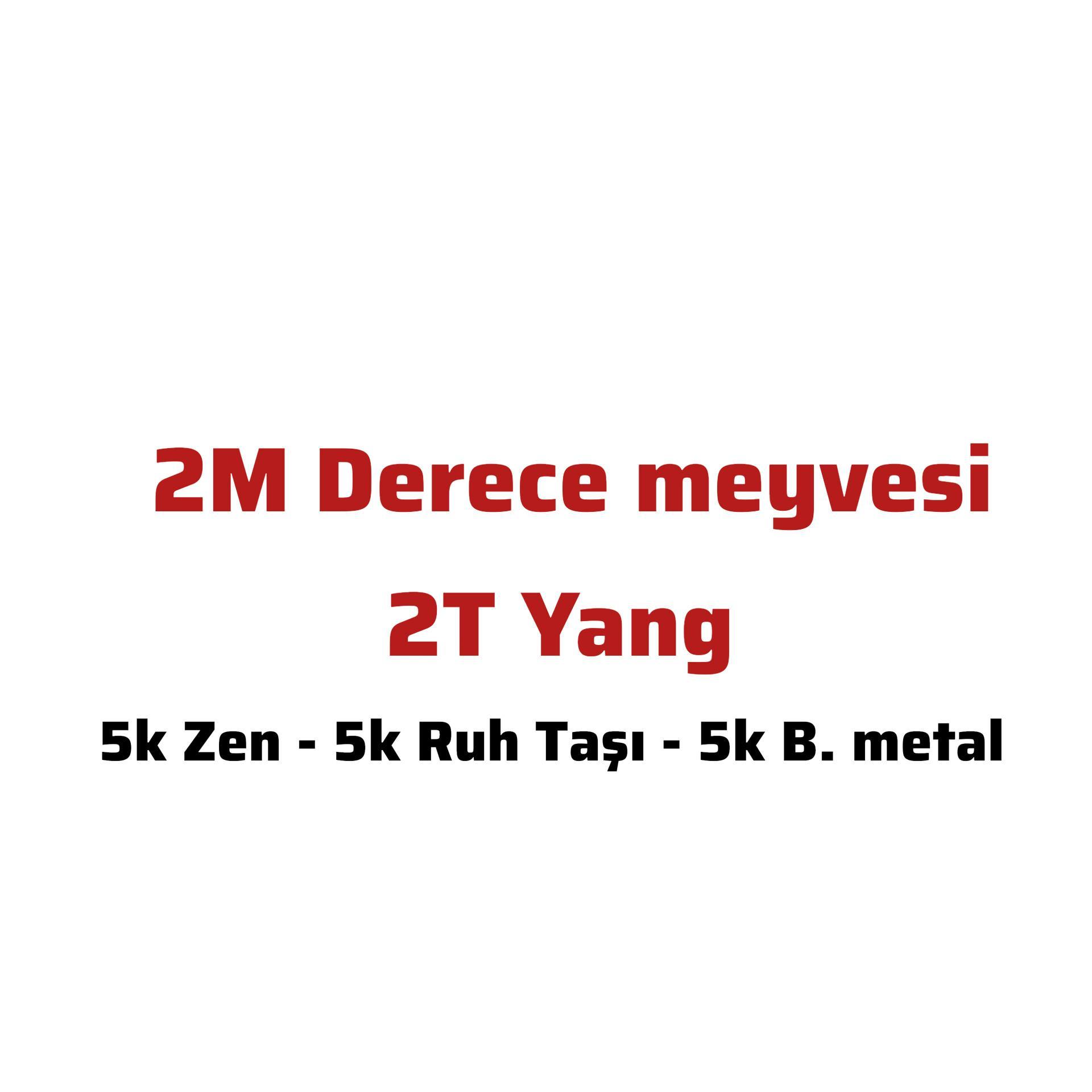 2t Yang 2M Derece Meyvesi  Ruh Zen Metal  onlineyim
