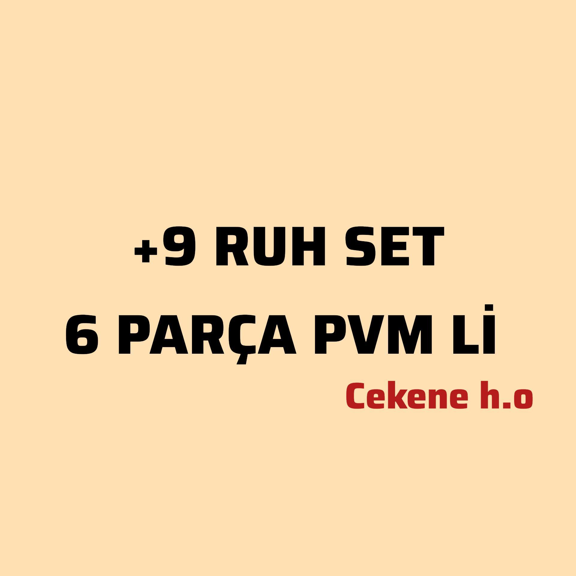 +9 RUH SET  CEKENE HO