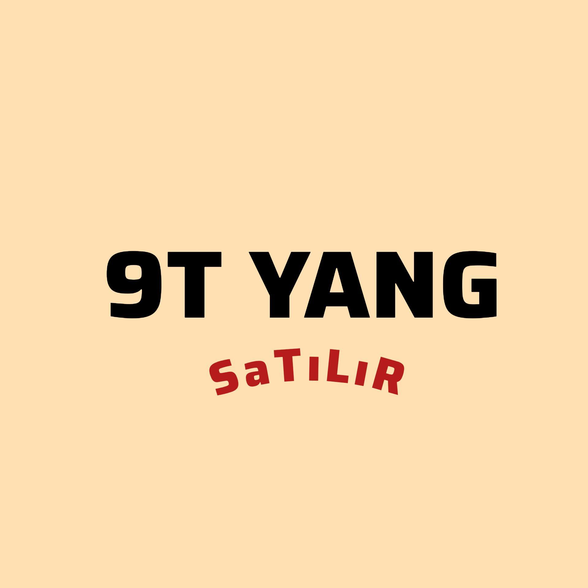 9T YANG SATİLİR