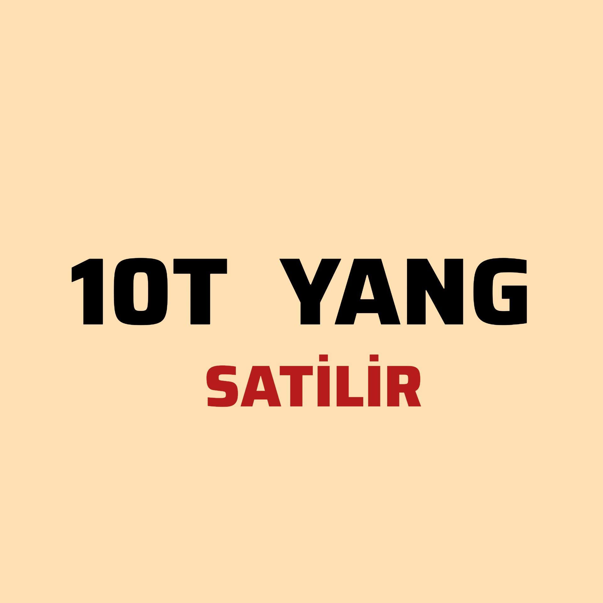 10T cekene ho son satiş