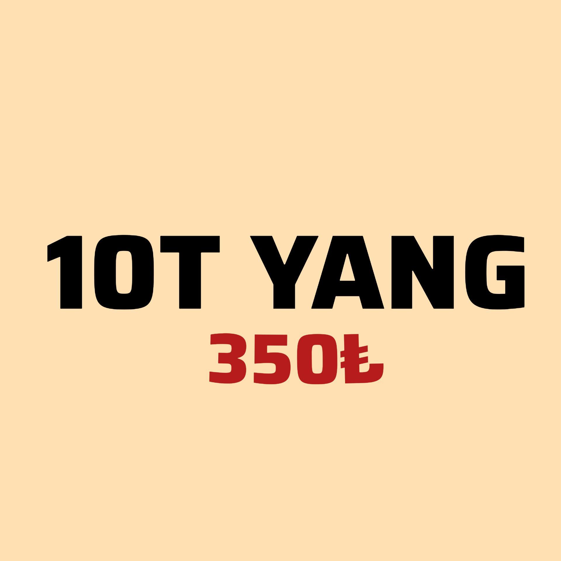 10T  cekene ho onlineyim