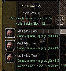 +9 RUH KEMERİ