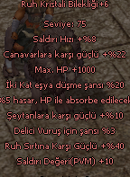 +9 KİN +9 KİN  +8 RUH KOLYE +5 RUH KASK +6 BİLEZİK +1T 300M