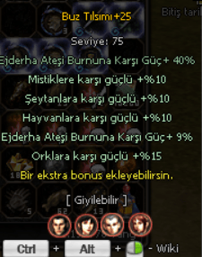 +25 TILSIM