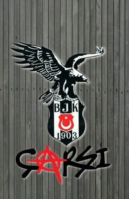 bayburtlu693461