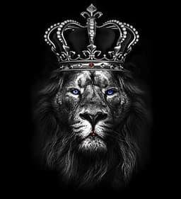 luxurystore