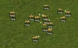 hizliyangg