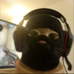 arapslayer