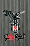 bayburtlu693461