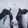 Holstein
