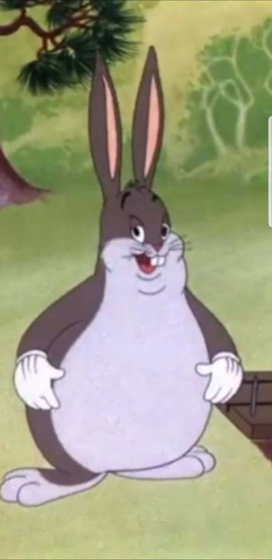 hipozzy31