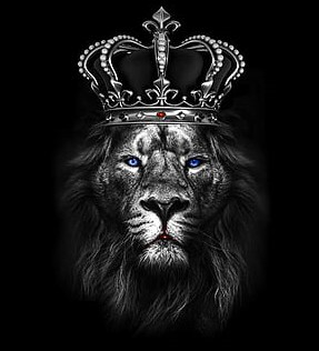 luxurystore