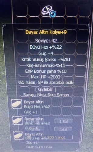 +9 BEYAZ ALTIN KOLYE HP KILIÇ KRİTİK