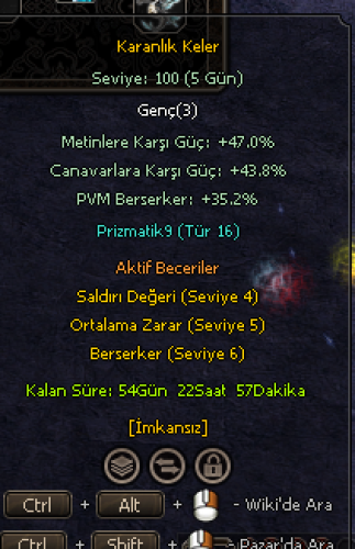 kaykaylı tip 16 100 lvl binek kaykay parasına