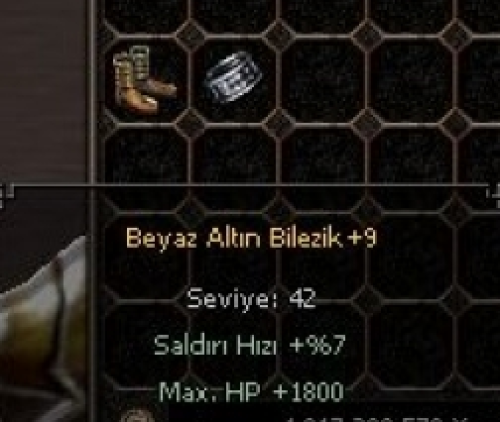 +9 BEYAZ ALTIN BİLEZİK