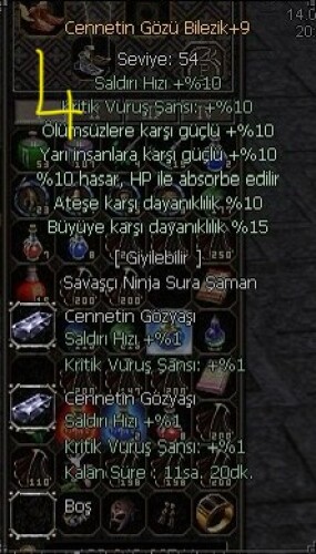 +9 CENNETİN GÖZÜ BİLEZİK 10 YARI 15 BÜYÜ 10 HP ABSORBE