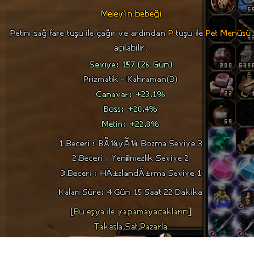 ANINDA TESLİM MELEY PET