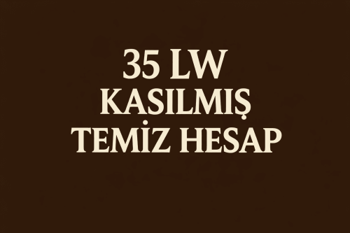 1mail 1id 1karakter 35 level hesap 7/24 Akitifim