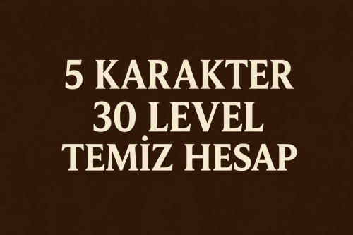 1mail 1id 5karakter 30 level hesap 7/24 Akitifim