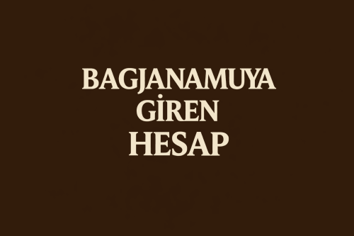 1 mail 3 id Bagjanamu giren hesap