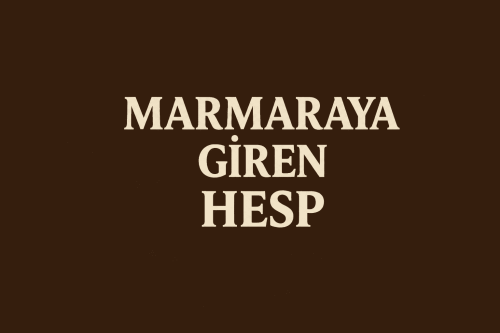 1mail 1id maramaraya giren hesap