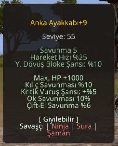 +9 ANKA 10 KILIÇ 10 OK 5 KRİTİK 1K HP