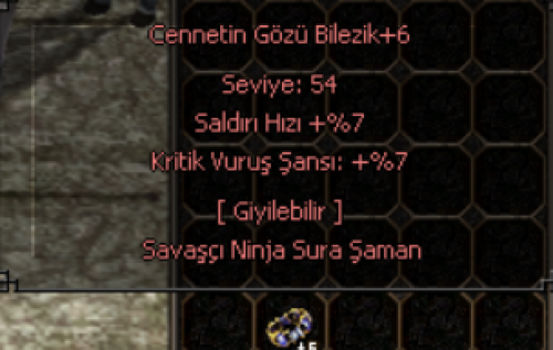 +6 CENNETİN GÖZÜ BİLEZİK