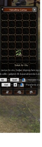 53 adet soluk kır otu