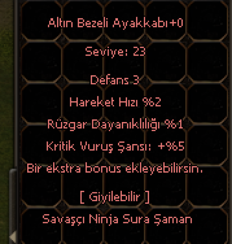 Altın Bezeli Ayakkabı (Çılgın İtem)