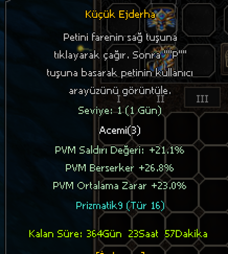 TİP 16 PET